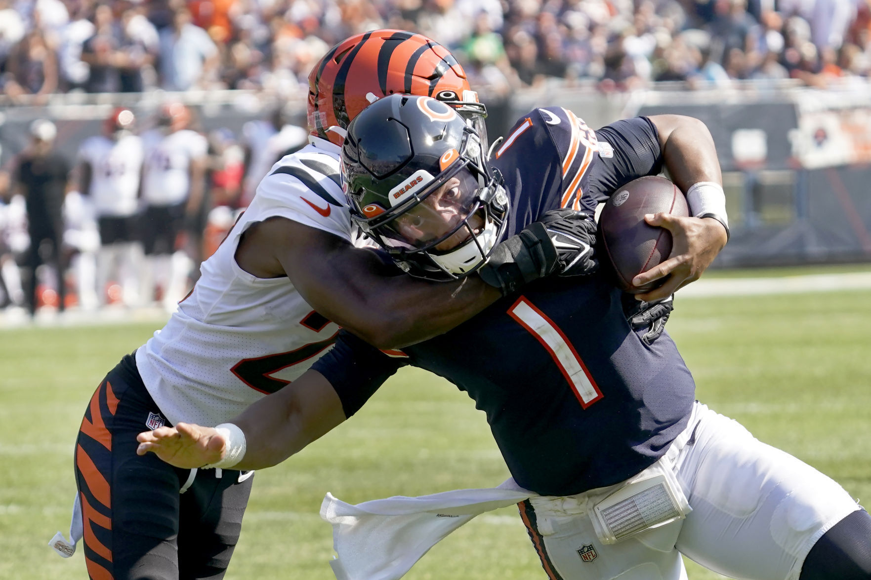 Bengals Bears Football